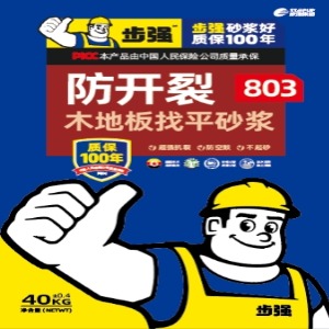 BQ803裝飾地面找平砂漿(家裝專(zhuān)用)